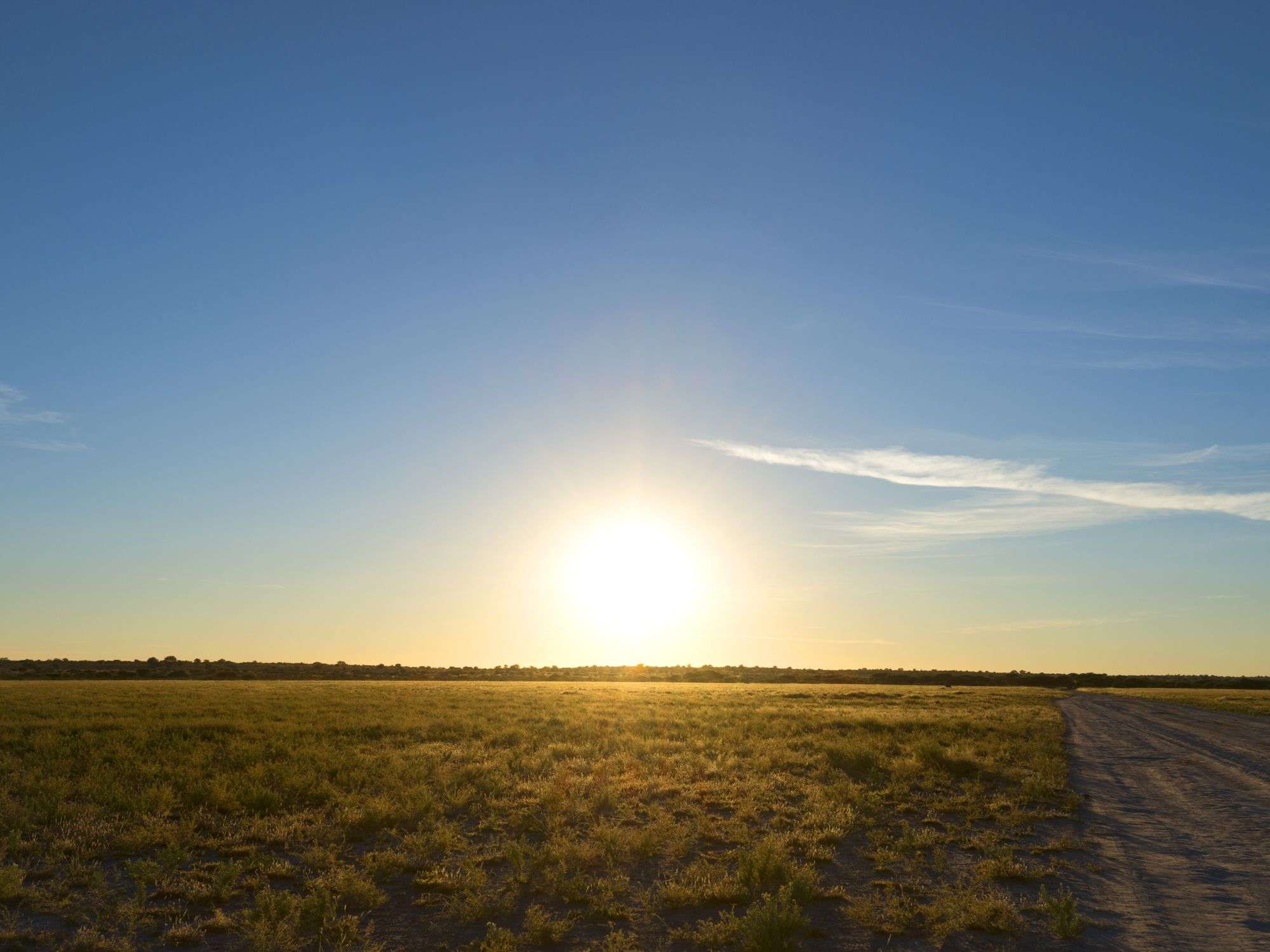 21 Days Northern Botswana Expeditions